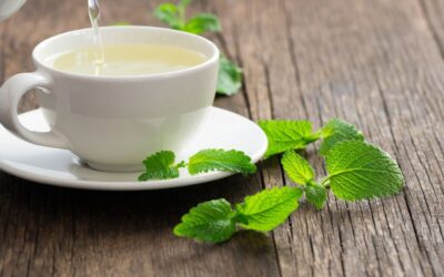 Lemon balm (Melissa officinalis): a natural source of calm and wellbeing
