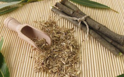 Willow bark: a natural alternative to aspirin