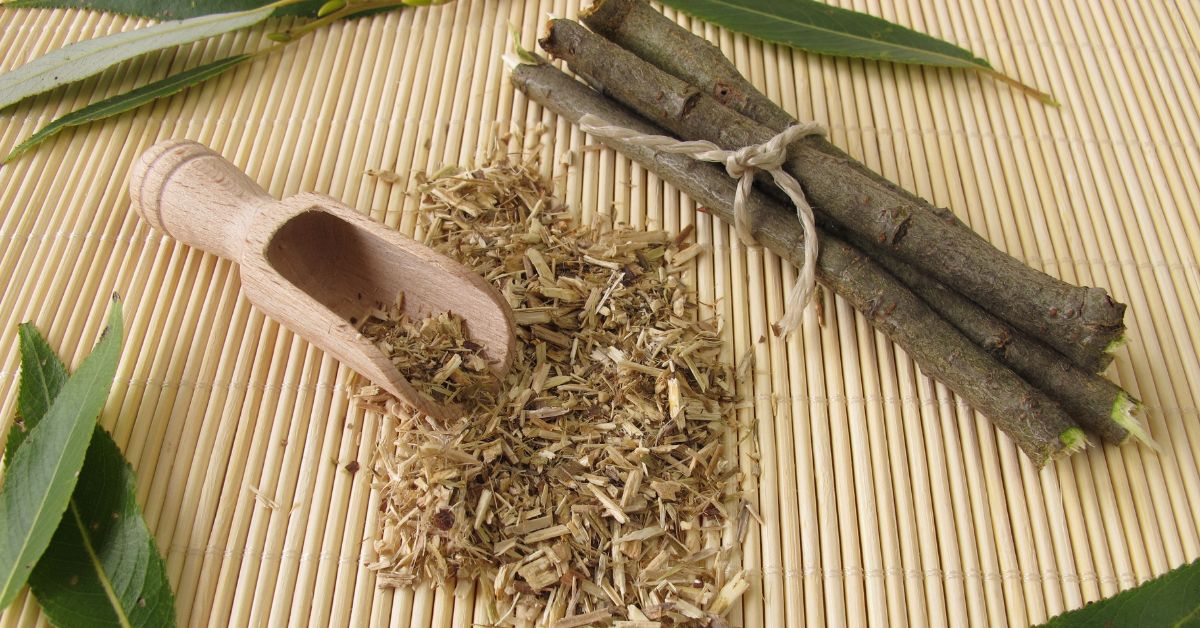 fűzgakéreg fűzfakéreg