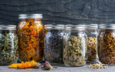 How to store medicinal herbs properly