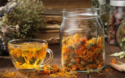 Discover the benefits of maceration: extracting herbal active compounds in cold water