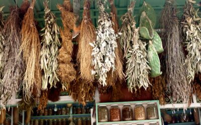 The most common methods of preserving medicinal herbs