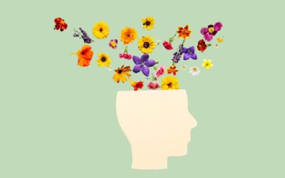 5 herbs that gently support your soul