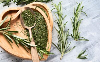 Rosemary: a traditional spice and a modern remedy