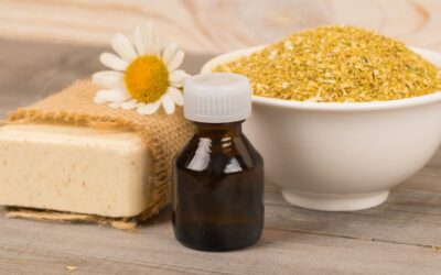 Chamomile essential oil: an ancient remedy still effective today