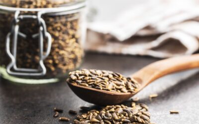 Milk thistle: when your liver needs regeneration