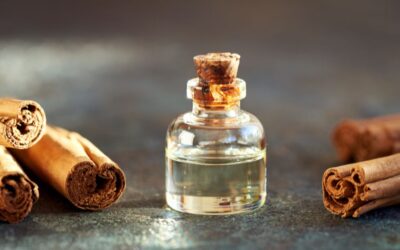 The secrets of cinnamon essential oil: 7 benefits you should know