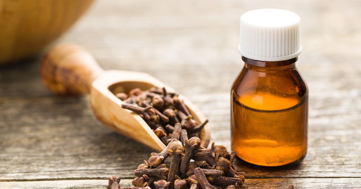 szegfűszeg illóolaj