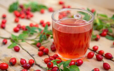 Rosehip tea: a natural vitamin C powerhouse – but only if prepared correctly