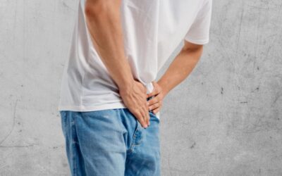 Pumpkin seed, small-flowered willowherb, and saw palmetto — Natural allies for prostate support