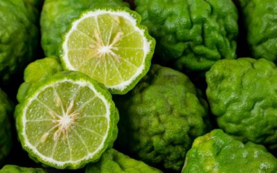 Bergamot essential oil: More than just a fresh citrus scent