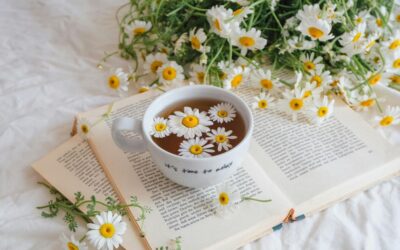 Chamomile for gastric ulcers? – The role of Matricaria recutita in mucosal regeneration