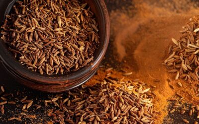 Caraway essential oil: benefits, uses, and how to use it safely