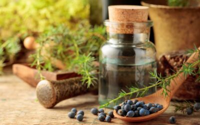 Juniper essential oil – the cleansing power of the forest in a single drop