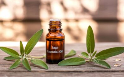 Sage essential oil: benefits, uses, and how to use it safely