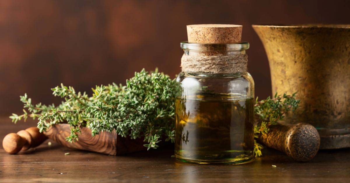 thyme essential oil